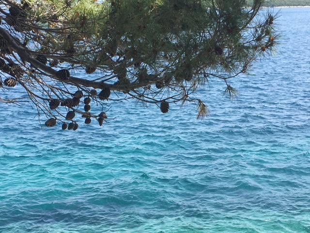 Apartment Pomirenja Korčula Dış mekan fotoğraf